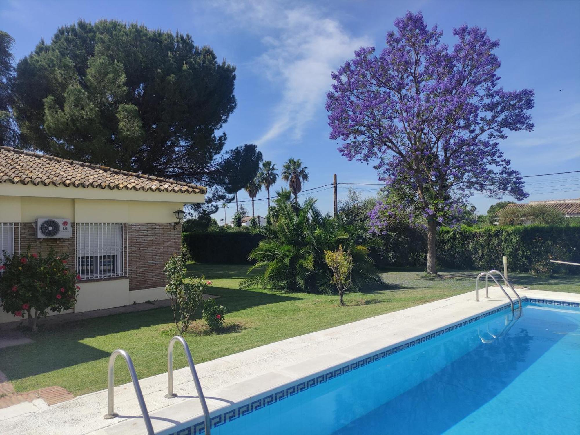 Remanso De Paz Cerca De Sevilla Dreamertu Palomares del Río Extérieur photo